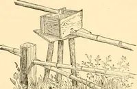An illustration from Japanese homes and their surroundings (1885)