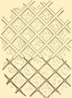 An illustration from Japanese homes and their surroundings (1885)