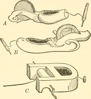 An illustration from Japanese homes and their surroundings (1885)