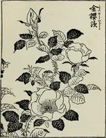 An illustration from Japanese illustrations; a history of the arts of wood-cutting and colour printing in Japan (1904)