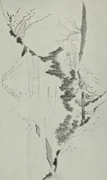 An illustration from Japanese illustrations; a history of the arts of wood-cutting and colour printing in Japan (1904)