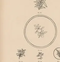 An illustration from Japanese marks and seals. Part I, Pottery. Part II, Illuminated mss. and printed books. Part III, Lacquer, enamels, metal, wood, ivory, &c. (1882)