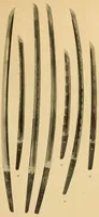 An illustration from Japanese swords (1913)