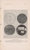 An illustration from Japanese wood-cutting and wood-cut printing (1894)