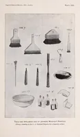 Picture 3 of 9 from ... Japanese wood-cutting and wood-cut printing (1894), leaf 23