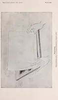 An illustration from ... Japanese wood-cutting and wood-cut printing (1894)