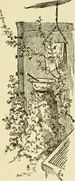 Picture 66 of 90 from Japan in art and industry. : With a glance at Japanese manners and customs (1893), leaf 241