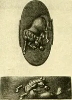 Picture 120 of 158 from Japanische Stichblätter und Schwertzieraten : Sammlung Georg Oeder, Düsseldorf : [Katalog] (1916), leaf 155