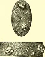 An illustration from Japanische Stichblätter und Schwertzieraten : Sammlung Georg Oeder, Düsseldorf : [Katalog] (1916)