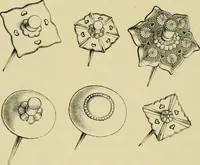 An illustration from Japan : its architecture, art, and art manufactures (1882)