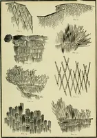 An illustration from Japan : its architecture, art, and art manufactures (1882)