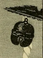 Picture 76 of 137 from Japan : its architecture, art, and art manufactures (1882), leaf 293