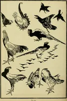 An illustration from Japan : its architecture, art, and art manufactures (1882)