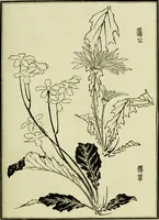 An illustration from Japan : its architecture, art, and art manufactures (1882)