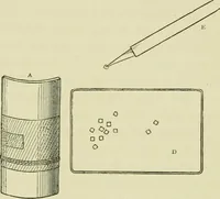 Picture 115 of 137 from Japan : its architecture, art, and art manufactures (1882), leaf 378