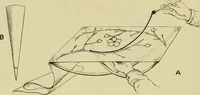 Picture 126 of 137 from Japan : its architecture, art, and art manufactures (1882), leaf 455