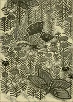 An illustration from Japan : its architecture, art, and art manufactures (1882)