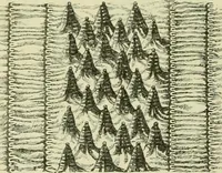 Picture 132 of 137 from Japan : its architecture, art, and art manufactures (1882), leaf 466