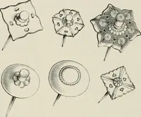 Picture 14 of 142 from Japan: its architecture, art, and art manufactures (1882), leaf 131
