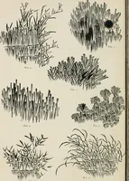 An illustration from Japan: its architecture, art, and art manufactures (1882)