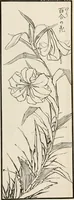 An illustration from Japan: its architecture, art, and art manufactures (1882)