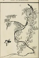 Picture 82 of 142 from Japan: its architecture, art, and art manufactures (1882), leaf 305