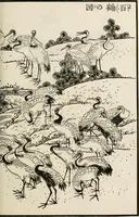 An illustration from Japan: its architecture, art, and art manufactures (1882)