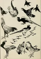 An illustration from Japan: its architecture, art, and art manufactures (1882)