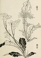 An illustration from Japan: its architecture, art, and art manufactures (1882)