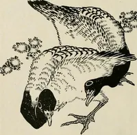 An illustration from Japan: its architecture, art, and art manufactures (1882)