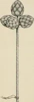 An illustration from Japan: its architecture, art, and art manufactures (1882)