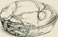 Picture 140 of 142 from Japan: its architecture, art, and art manufactures (1882), leaf 476