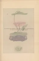 An illustration from Japan, its history, arts, and literature (1901)