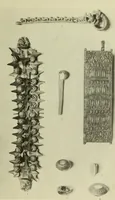 Picture 10 of 81 from Jewellery (1908), leaf 86