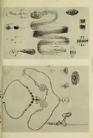 Picture 11 of 81 from Jewellery (1908), leaf 94
