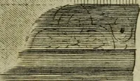 An illustration from The builder's jewel, or, The youth's instructor and workman's remembrancer : explaining short and easy rules, made familiar to the meanest capacity, for drawing and working ... : the whole illustrated by upwards of 200 examples, engraved on 100 copper-plates (1787)