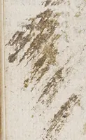An illustration from Jews in America, or Probabilities, that those Indians are Judaical, made more probable by some additionals to the former conjectures. : An accurate discourse is premised of Mr. John Elliot, (who first preached the Gospel to the natives in their own language) touching their origination, and his vindication of the planters ... (1660)