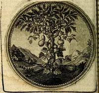 An illustration from Joachimi Camerarii Symbolorum et emblematum, centuriae quatuor .. (1668)