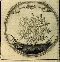 Picture 50 of 398 from Joachimi Camerarii Symbolorum et emblematum, centuriae quatuor .. (1668), leaf 107