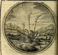 Picture 62 of 398 from Joachimi Camerarii Symbolorum et emblematum, centuriae quatuor .. (1668), leaf 131