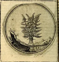 Picture 63 of 398 from Joachimi Camerarii Symbolorum et emblematum, centuriae quatuor .. (1668), leaf 133