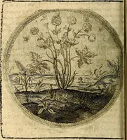 An illustration from Joachimi Camerarii Symbolorum et emblematum, centuriae quatuor .. (1668)