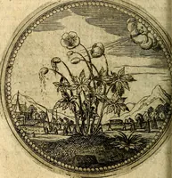 Picture 71 of 398 from Joachimi Camerarii Symbolorum et emblematum, centuriae quatuor .. (1668), leaf 149