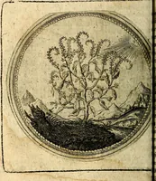 Picture 74 of 398 from Joachimi Camerarii Symbolorum et emblematum, centuriae quatuor .. (1668), leaf 155