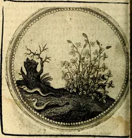 An illustration from Joachimi Camerarii Symbolorum et emblematum, centuriae quatuor .. (1668)
