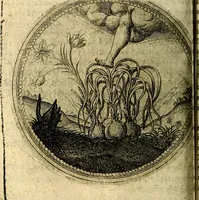 Picture 77 of 398 from Joachimi Camerarii Symbolorum et emblematum, centuriae quatuor .. (1668), leaf 161