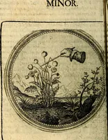 Picture 78 of 398 from Joachimi Camerarii Symbolorum et emblematum, centuriae quatuor .. (1668), leaf 163