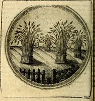 Picture 80 of 398 from Joachimi Camerarii Symbolorum et emblematum, centuriae quatuor .. (1668), leaf 167
