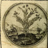 Picture 81 of 398 from Joachimi Camerarii Symbolorum et emblematum, centuriae quatuor .. (1668), leaf 169