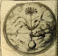 An illustration from Joachimi Camerarii Symbolorum et emblematum, centuriae quatuor .. (1668)